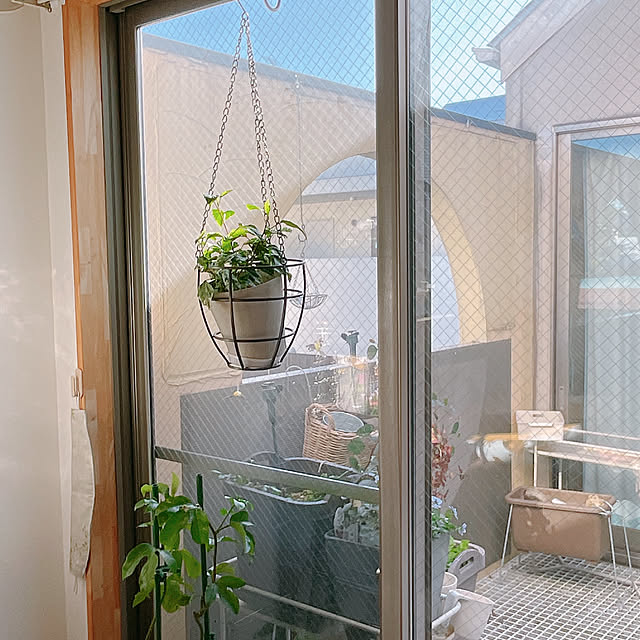 nahonさんの部屋