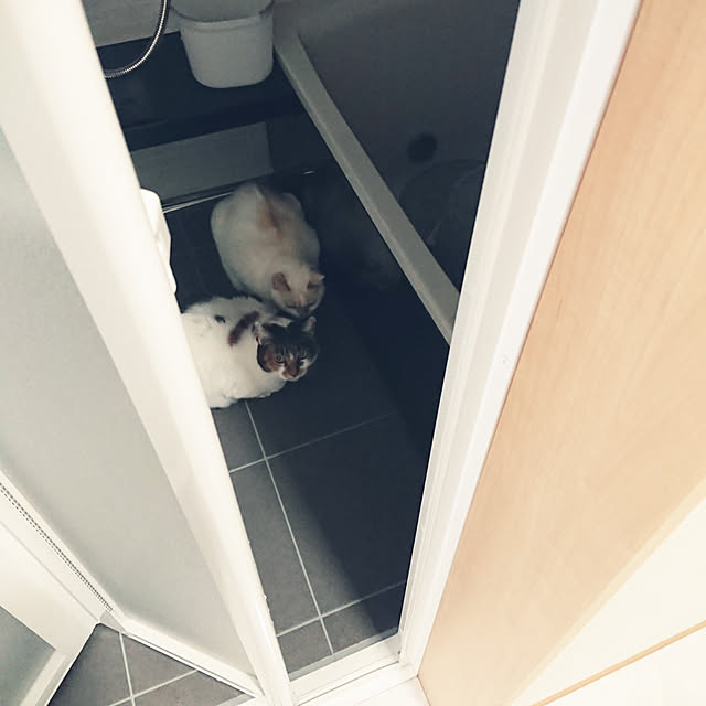 nachiさんの実例写真