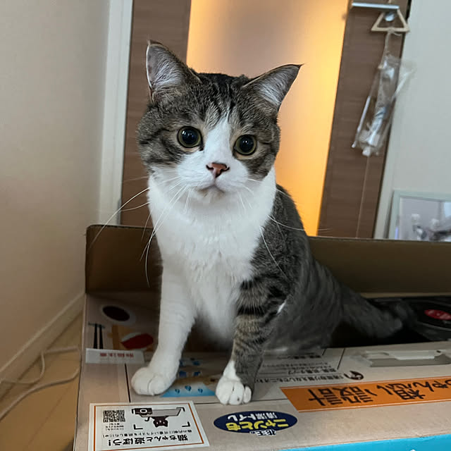 odashiさんの部屋