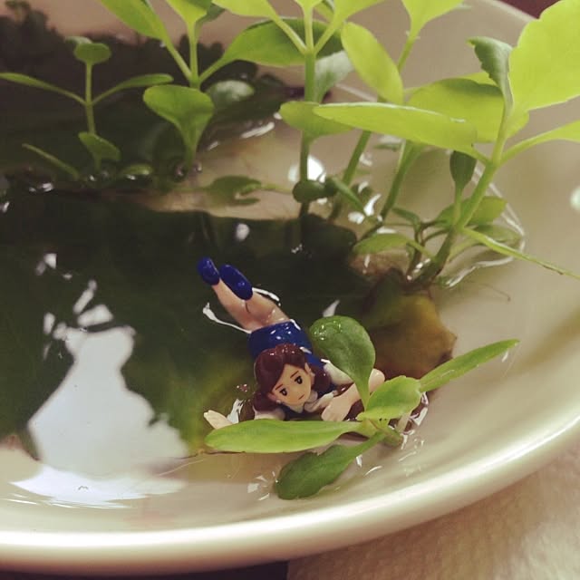 kentaさんの実例写真