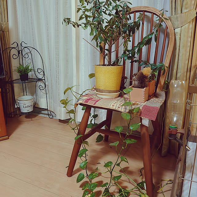 rikachakoさんの実例写真