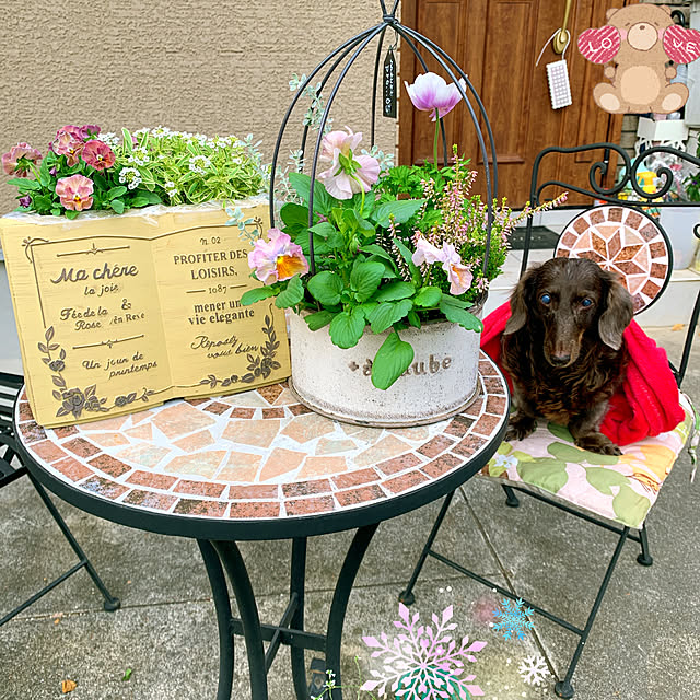 eshinobumさんの実例写真