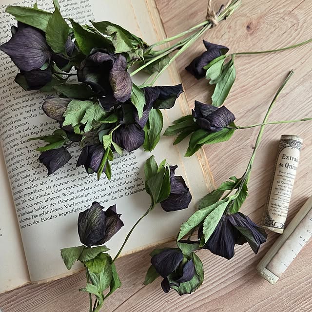 n.aturally_mさんの実例写真