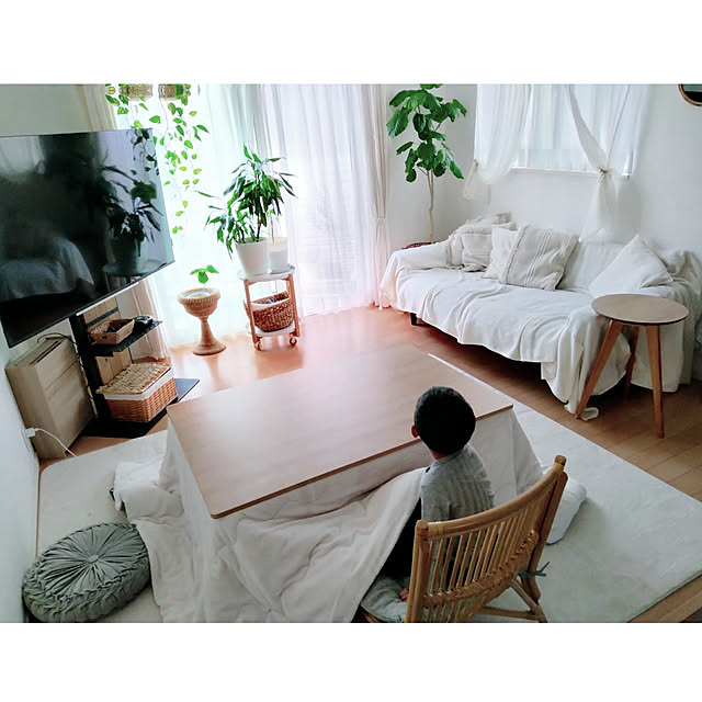 kodaminさんの実例写真
