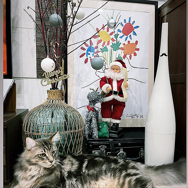 mayumiさんの実例写真