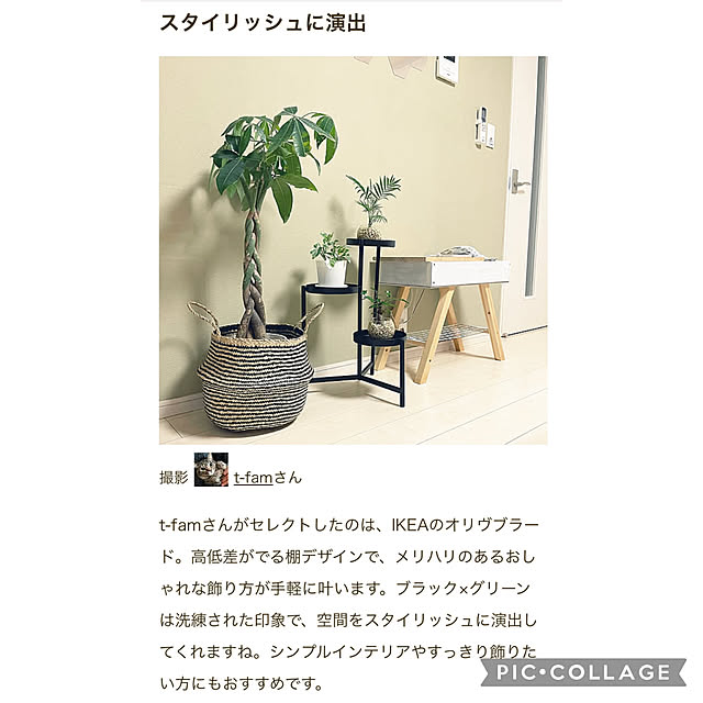 t-famさんの実例写真