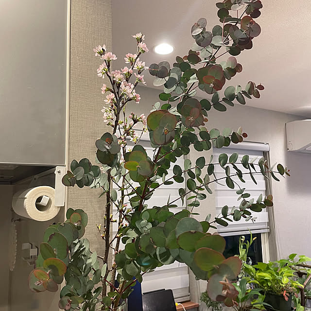 ikuzakさんの部屋