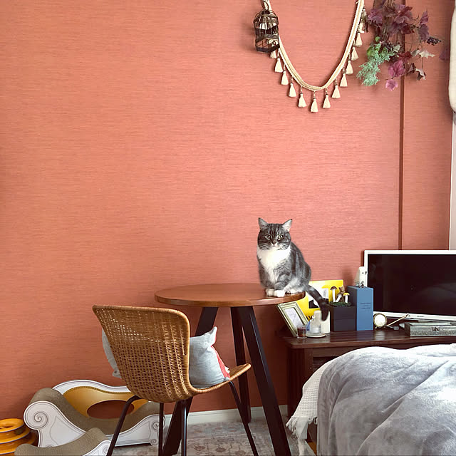 coco_pandaさんの実例写真