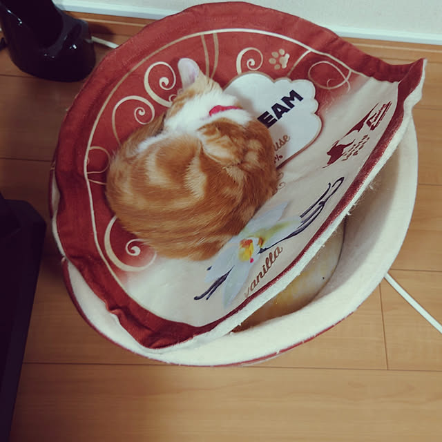 noguriさんの実例写真
