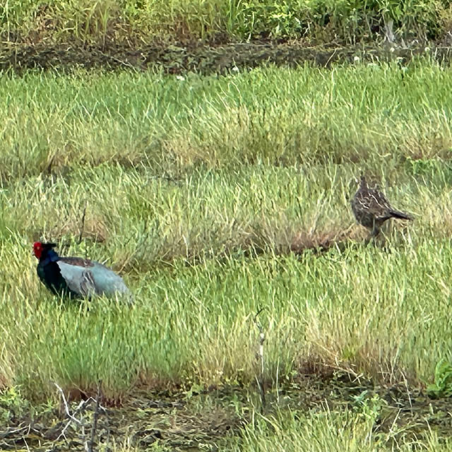 mizucchiさんの部屋