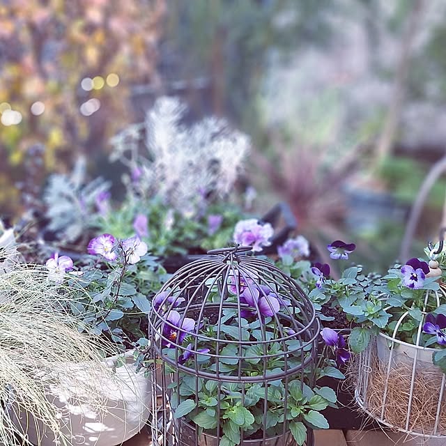 souさんの実例写真