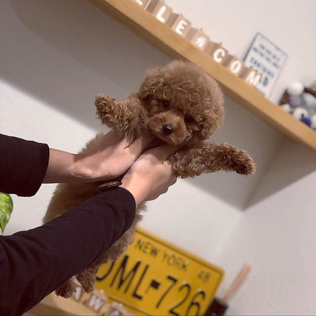CHiKAさんの実例写真