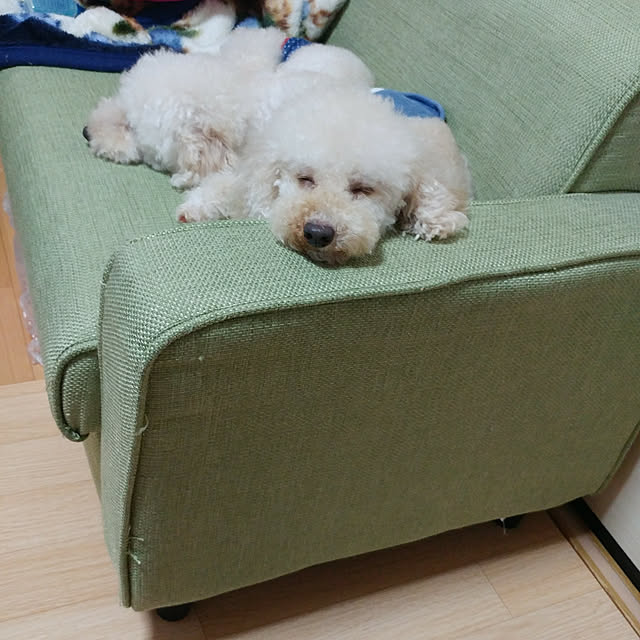 nontenrunさんの実例写真