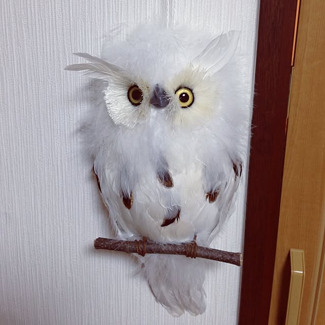 aiさんの実例写真