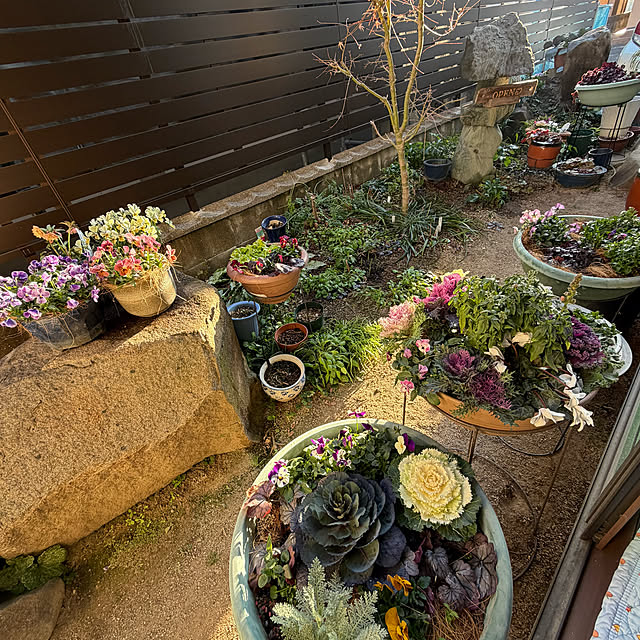 buchiさんの部屋