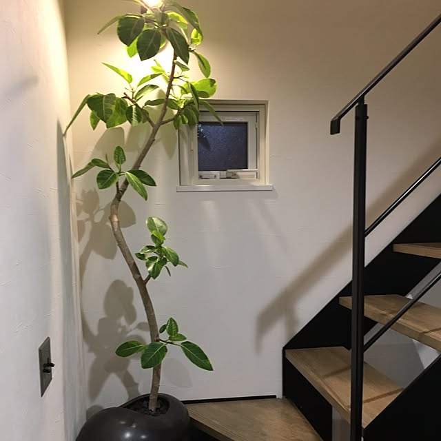 waoukaiさんの実例写真
