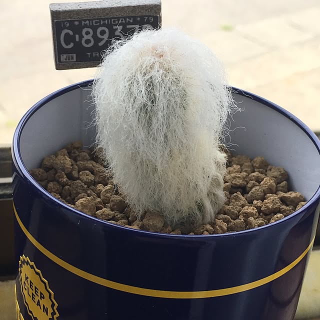 natunanaさんの実例写真