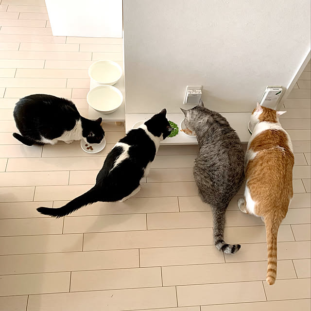 bikkeさんの実例写真