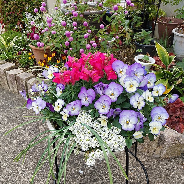 mutsuさんの実例写真
