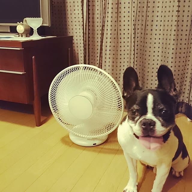 Makiさんの実例写真