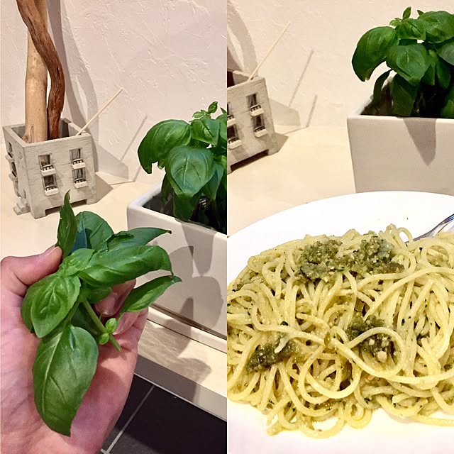 Kazzoomさんの実例写真