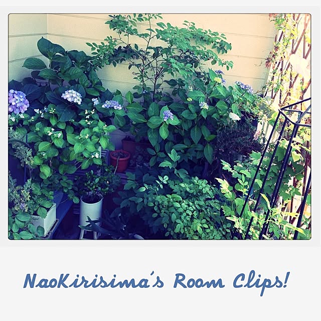 naokirisimaさんの実例写真
