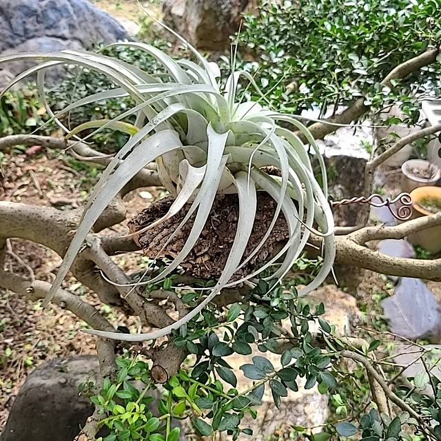 Rubiconさんの部屋