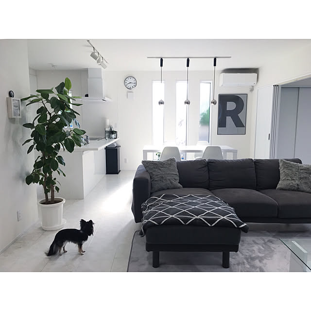 mari.s.homeさんの実例写真