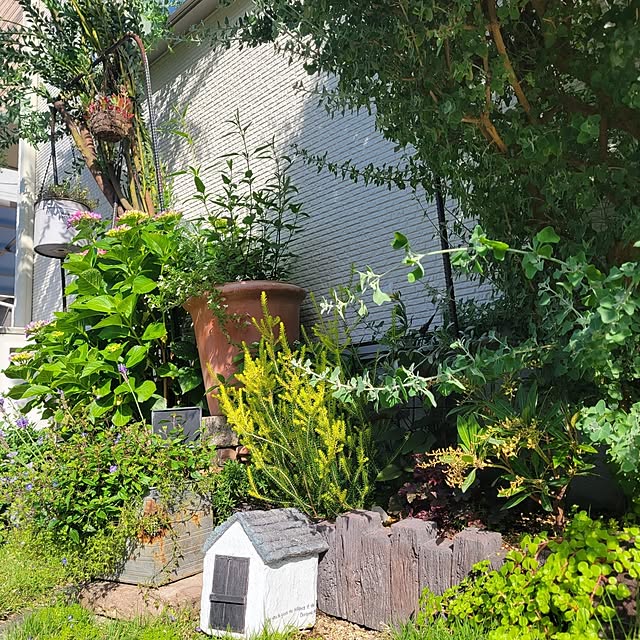 masarinn.さんの部屋