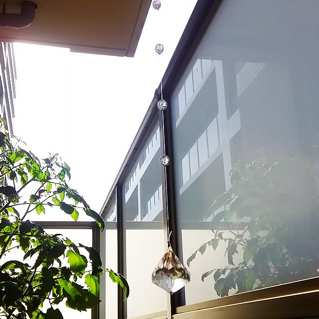 2006jsyさんの実例写真