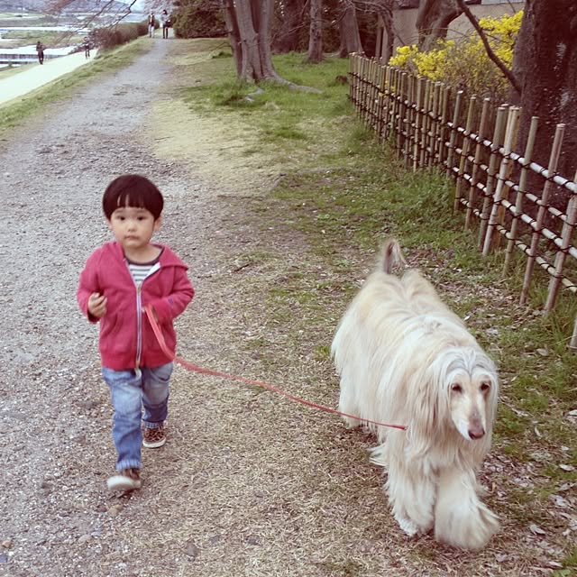 yuily_tさんの実例写真