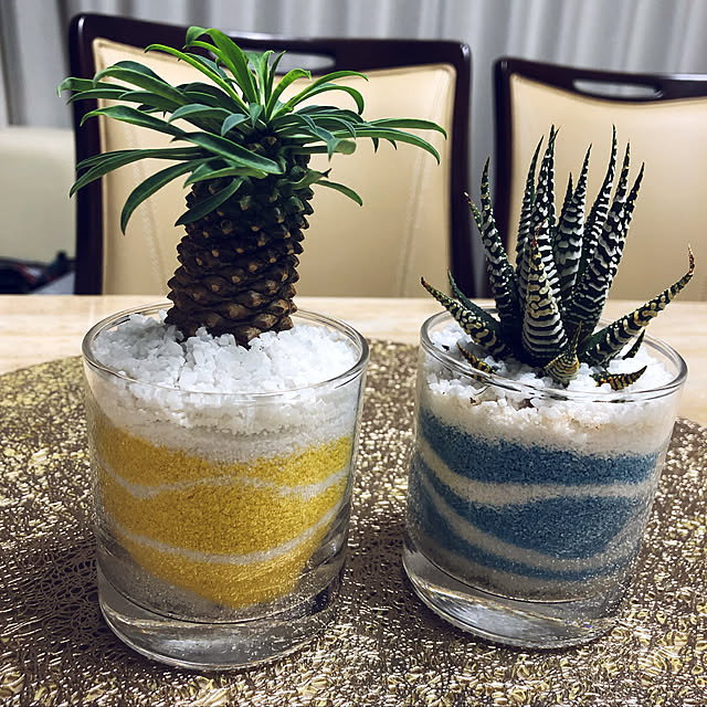 実例写真