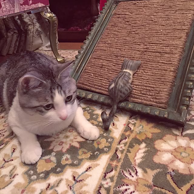 emmyyさんの実例写真