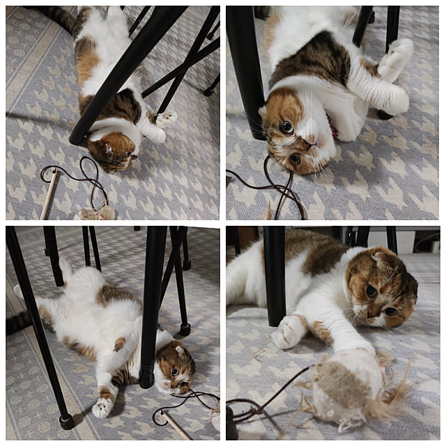 hiro3さんの実例写真