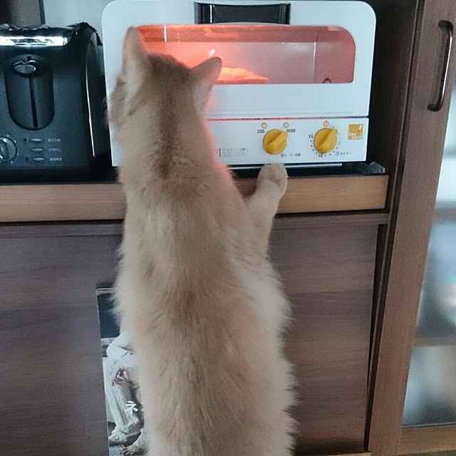 1ldksさんの実例写真