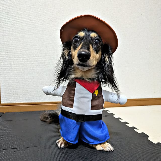 momozouさんの実例写真