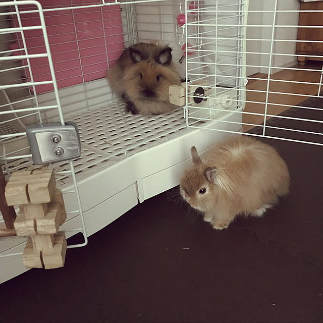 mさんの実例写真