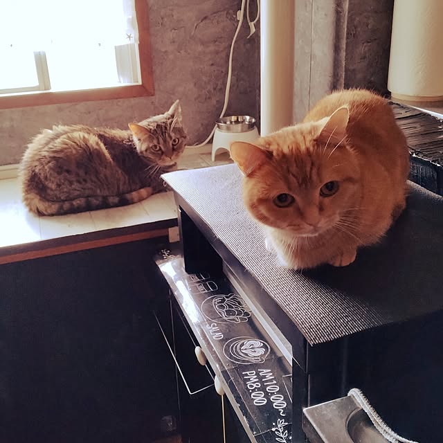 runaさんの実例写真
