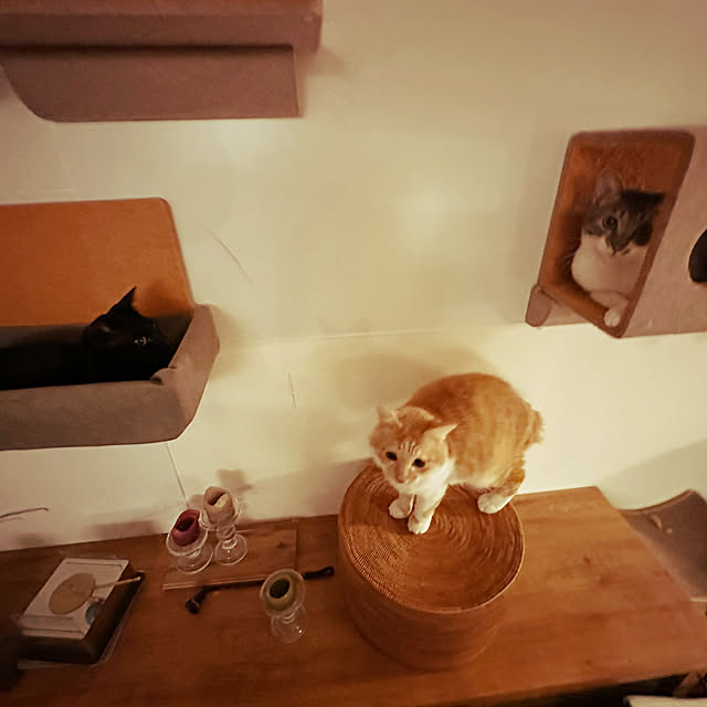 lemonadeさんの部屋