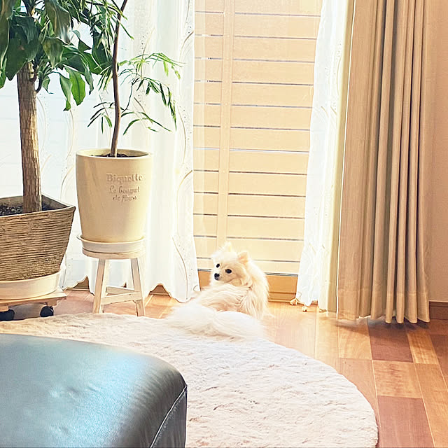 1546さんの実例写真