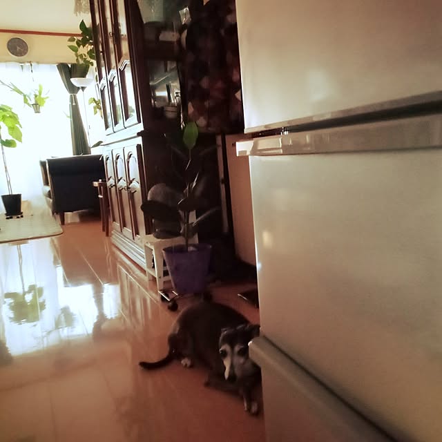 moruさんの部屋