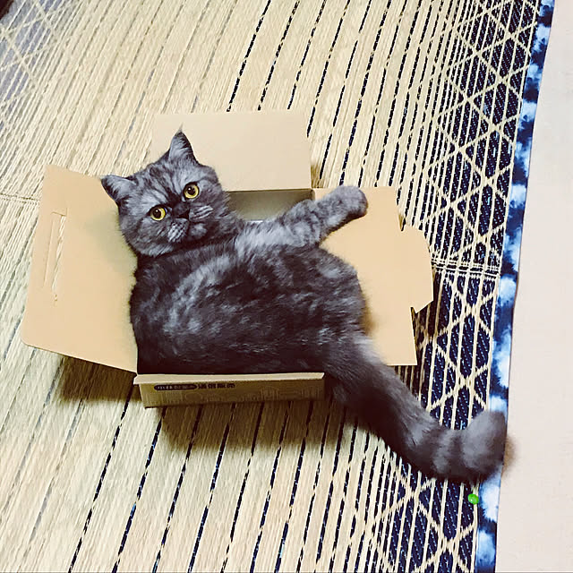 Marinさんの実例写真