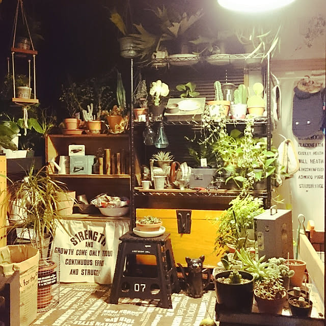 tikuwaさんの実例写真