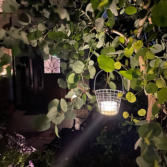 ronronさんの部屋
