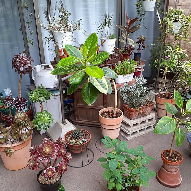 seijiさんの部屋