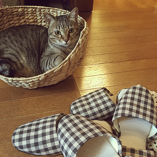 chikaさんの実例写真