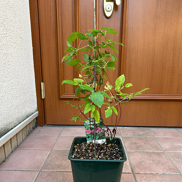 fumikoiさんの部屋