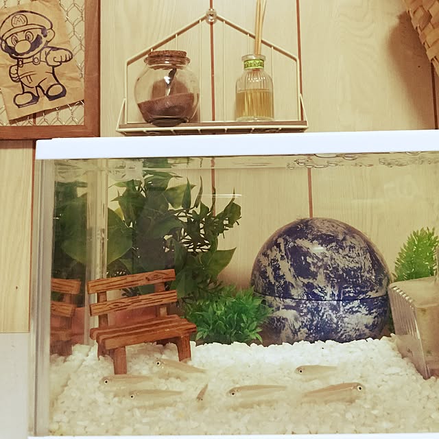sachiMさんの実例写真