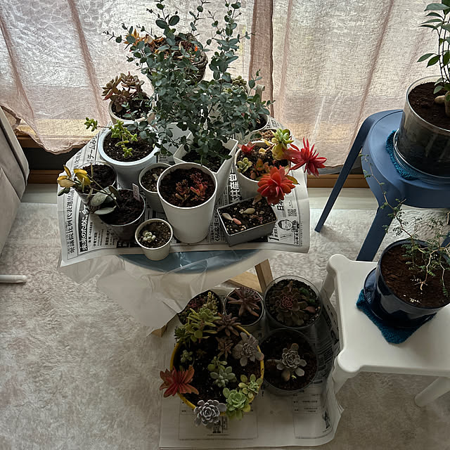 ruuuさんの実例写真