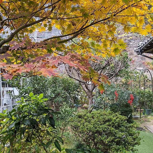 hiroさんの部屋